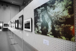 第13回甲賀市美術展覧会に写真で出展しました。