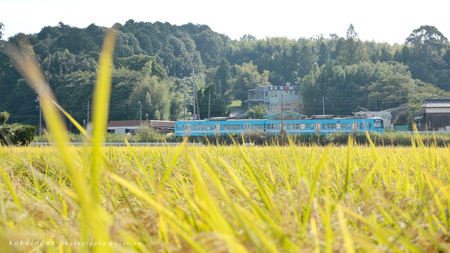 甲賀市の近江鉄道 撮影スポット 水口北内貴の田んぼ周辺
